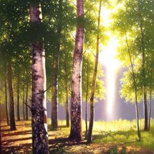 Схема вышивки «березовое утро»