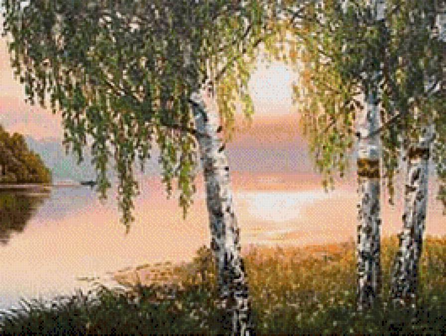 березовый закат - березы, закат, река - предпросмотр