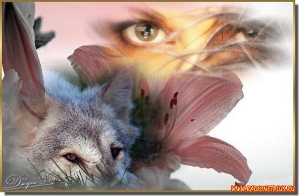 Девушка с волком - волк, девушка, живитные, цветок - оригинал