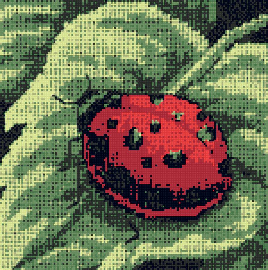 божья коровка - предпросмотр