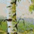 Предпросмотр схемы вышивки «Березовая роща» (№852938)