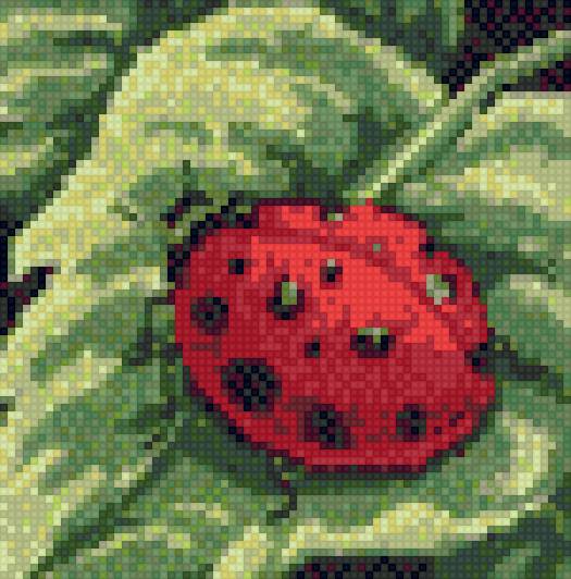 божья коровка 1 - предпросмотр