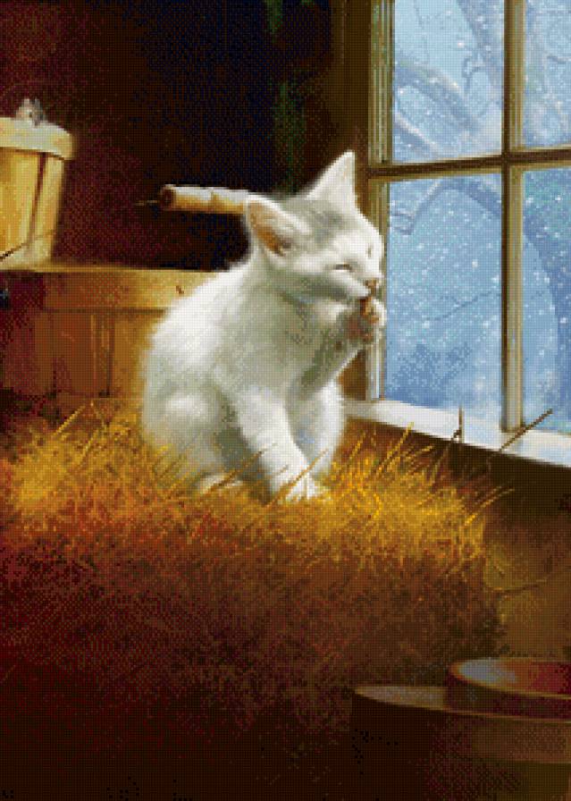 №853028 - окно, зима, мышка, котенок - предпросмотр