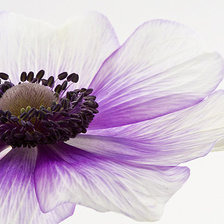 Схема вышивки «2»