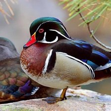 Схема вышивки «№853046»