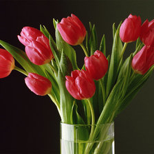 Схема вышивки «БУКЕТ»