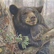 Схема вышивки «№853179»