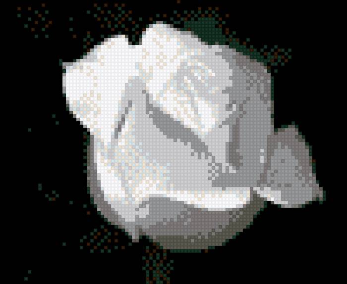 розочка на черном - предпросмотр