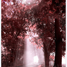 Схема вышивки «лучик солнца»