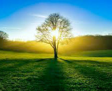 Схема вышивки «На свет»