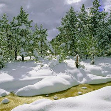 Схема вышивки «Зима»