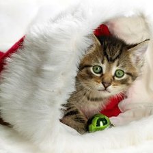 Схема вышивки «Новый год»