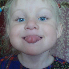 Схема вышивки «Карина»