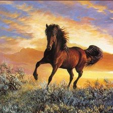 Схема вышивки «ЛОЩАДЬ»