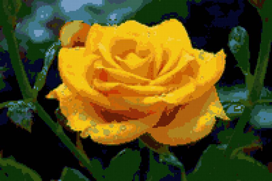 рррррррррррр - предпросмотр