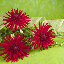 Схема вышивки «цветы»