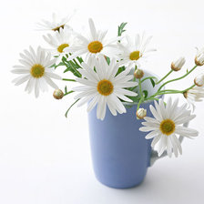 Схема вышивки «цветы»