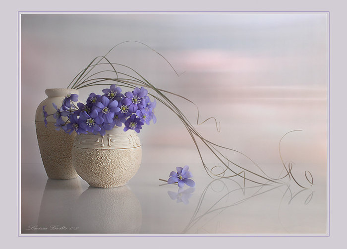 нежность - оригинал