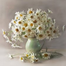 Схема вышивки «нежность»