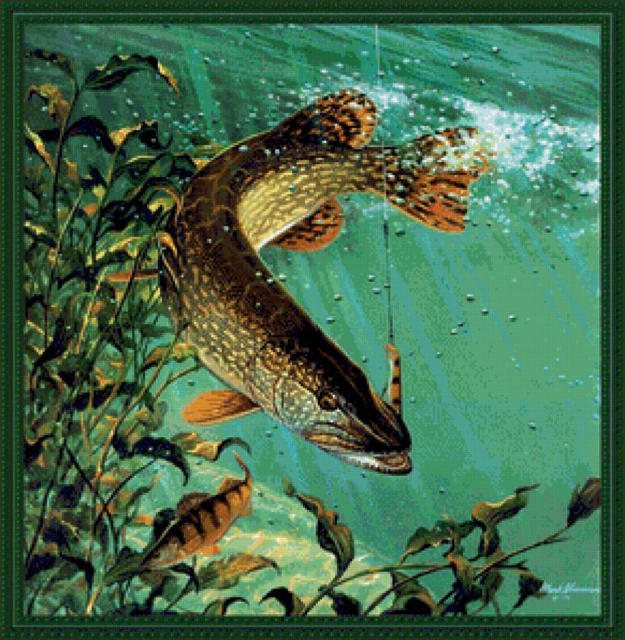 Щука - рыбалка, вода, рыба - предпросмотр