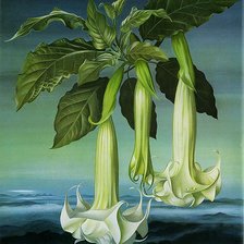 Схема вышивки «Цветок»