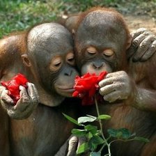 Схема вышивки «Любовь»