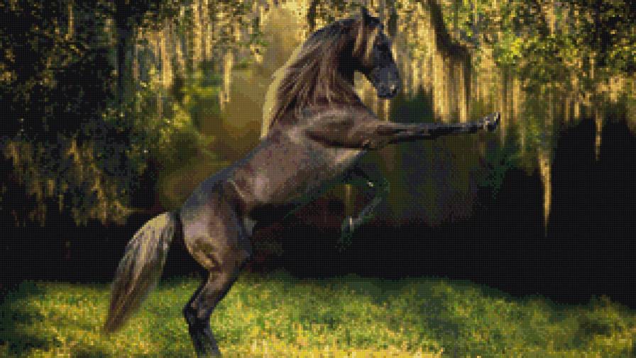 Конь - лошадь, животные - предпросмотр