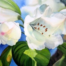 Схема вышивки «№854553»