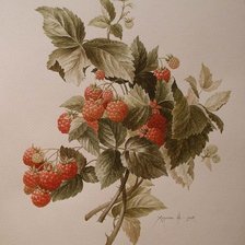 Схема вышивки «№854567»