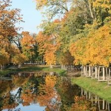 Схема вышивки «Берлин парк»