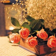 Схема вышивки «Розы на книге 2»