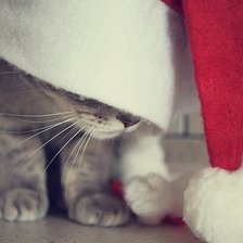 Схема вышивки «Новогодний кот 2»