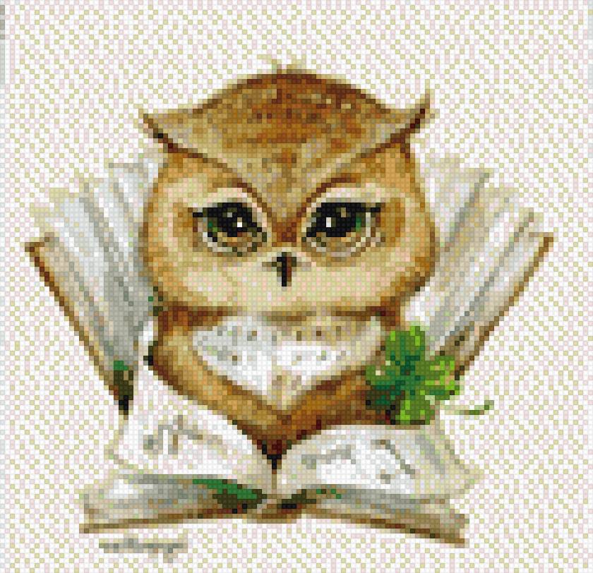 совушка - совы, природа, красота - предпросмотр