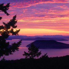 Схема вышивки «рай»