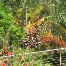 Схема вышивки «Сицилия, Италия»