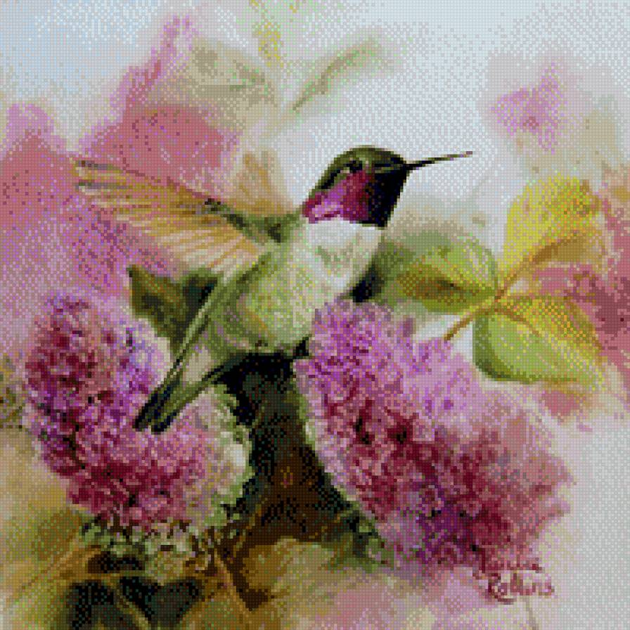 Колибри в цветах - колибри, цветы, природа - предпросмотр