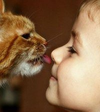 Схема вышивки «не умывают ребенка совсем)))»