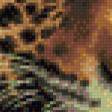 Предпросмотр схемы вышивки «яркий леопард» (№854995)