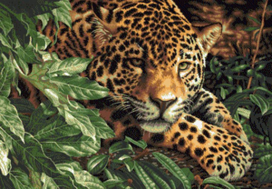 яркий леопард - животные - предпросмотр