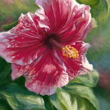 Схема вышивки «№855043»