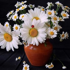 Схема вышивки «Цветы»