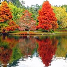 Схема вышивки «Осень2_34»