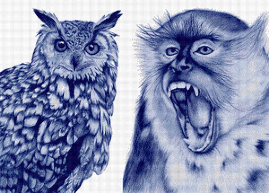 №855196 - сова, обезьяна, животные - предпросмотр