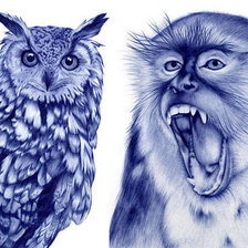 Схема вышивки «№855196»