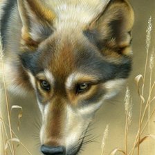 Схема вышивки «волк»