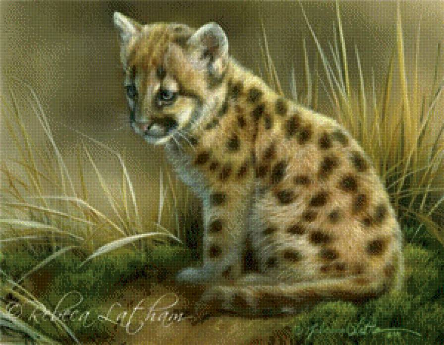 №855595 - животные - предпросмотр