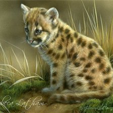 Схема вышивки «№855595»