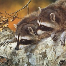 Схема вышивки «№855667»