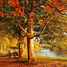 Схема вышивки «Солнечная осень 1»