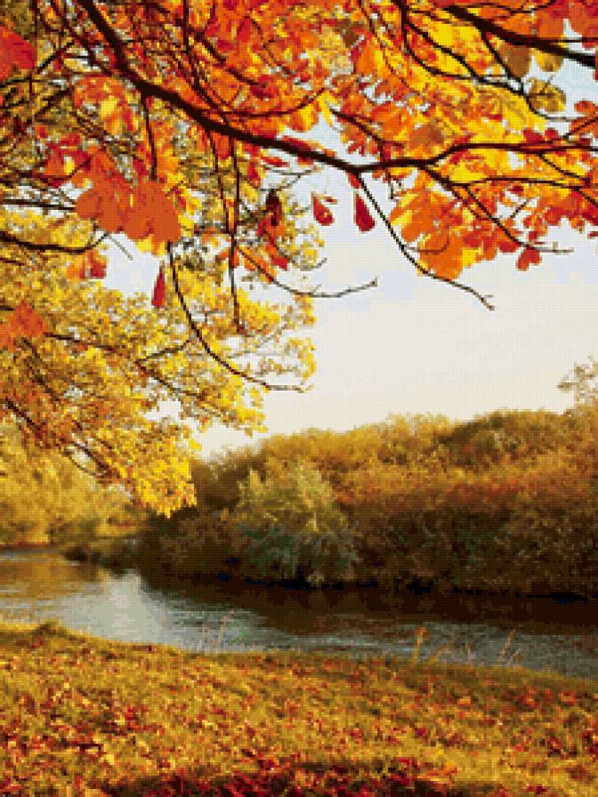 Солнечная осень 2 - природа, осень, река, дерево - предпросмотр